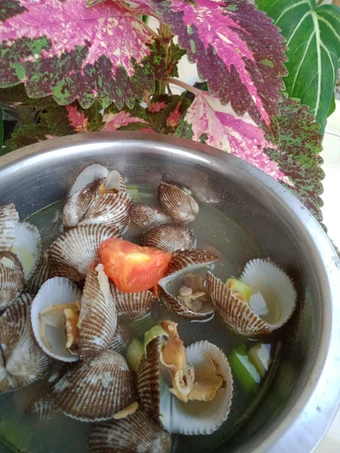 Langkah Mudah untuk Menyiapkan Resep Kerang Rebus yang Menggugah Selera Anti Ribet, Bikin Ngiler