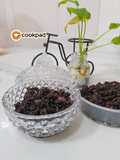 Sambal Hitam Belimbing Buluh