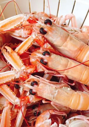 Hình của món Langoustines (Tôm Càng Biển Bắc) Làm Chín Nhanh Chấm Sốt Mayonaise.