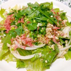 A picture of Ramen salada.