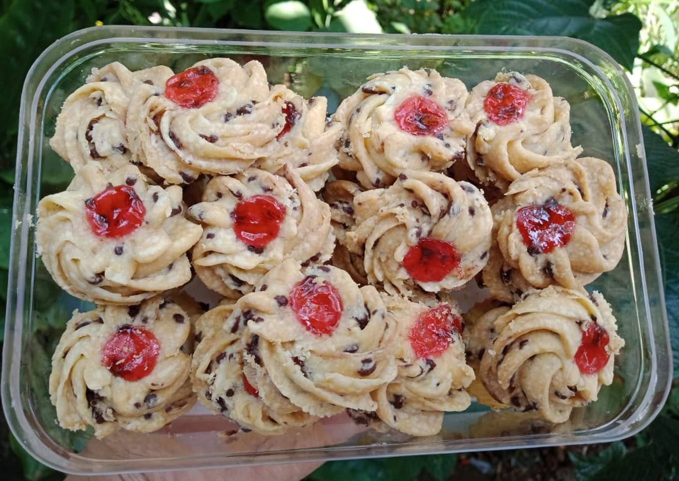 Swiss Choco Berry
