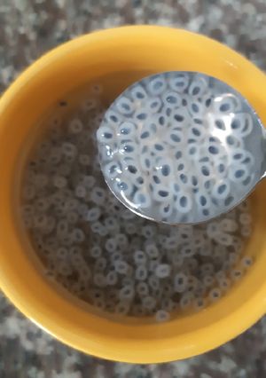 รูปของ เม็ดแมงลัก วิธีการเตรียม/ล้าง 💚 Lemon Brazil Seed Preparation