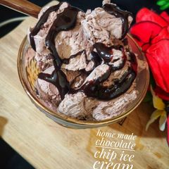 A picture of Homemade chocolate chip ice cream.