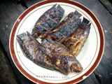 Ikan/iwak papuyu bakar