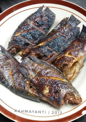 Foto resep Ikan/iwak papuyu bakar