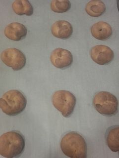 عکسی از دستور شامبلونه