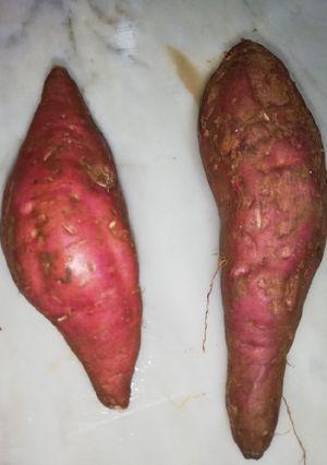 Une photo de La patates douce