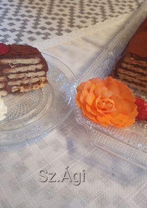 Epres - csokis kekszalagút recept fotója
