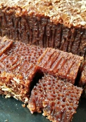Foto resep Bolu Caramel Topping Keju