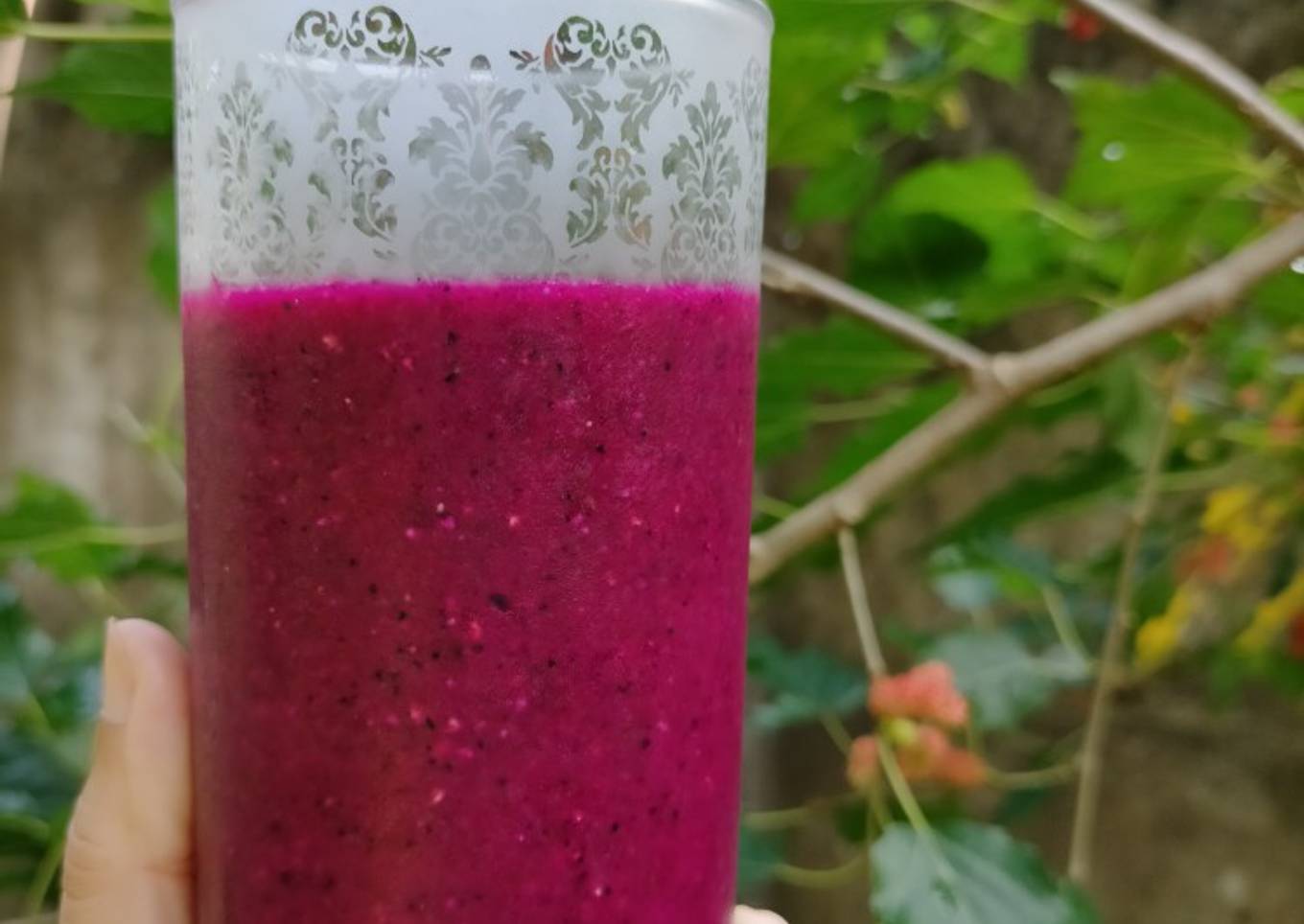 Jus Naga Selada