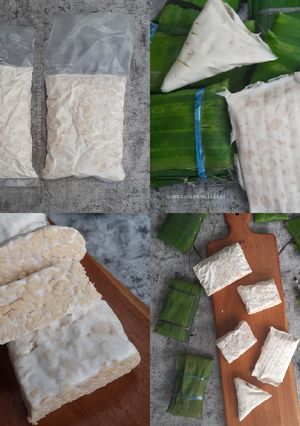 Foto resep Homemade Tempe, Belajar Bikin Tempe!