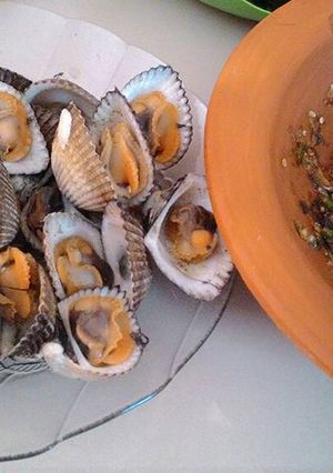 Foto resep Kerang bulu rebus 😄