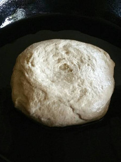 A picture of Perfect Pizza Dough.