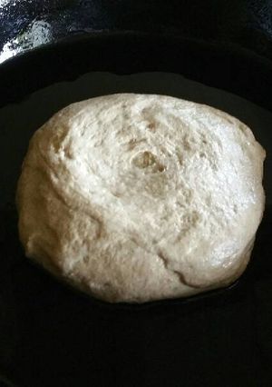 A picture of Perfect Pizza Dough.