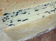 Gambar kek oreo bakar