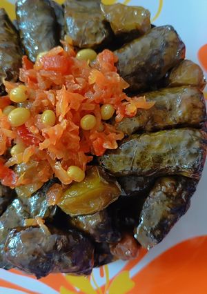 عکسی از دستور دلمه برگ مو بدون گوشت