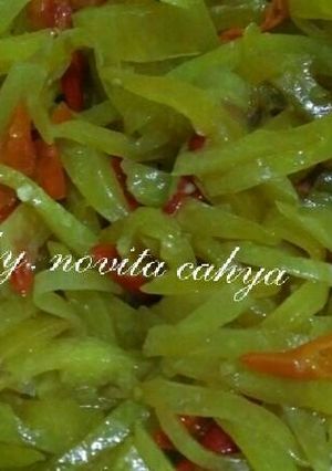 Foto resep Sayur kates/pepaya muda