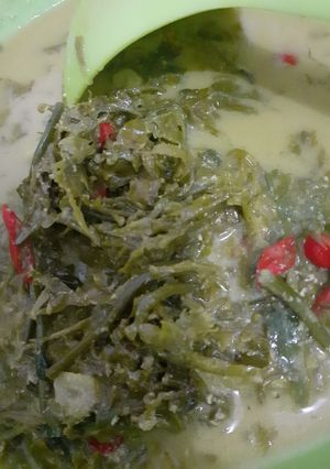 Foto resep Sayur pakis simpel #khas aceh