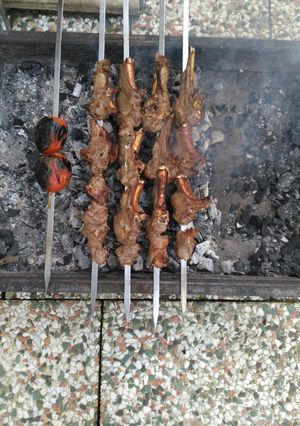 عکسی از دستور شیشلیک