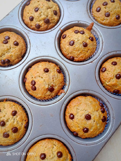 Foto resep Banana Cupcake ekonomis