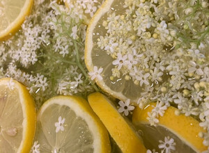Bodzaszörp recept fotója
