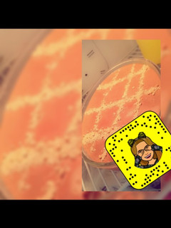 صورة لوصفة السنافر 🍰🍪