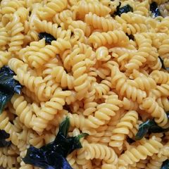 Boiled Macaroni with veg A picture of Boiled Macaroni with veg.