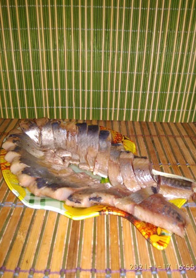 Оселедець гострий