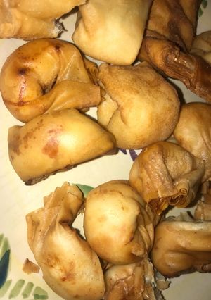 A picture of Prawn and chicken wontons.