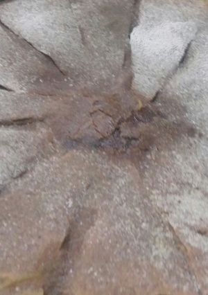 صورة لوصفة جلاش بالسكر والقرفة