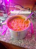 Homemade Ful Medames