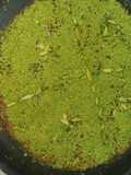 Arabic dish kunafa