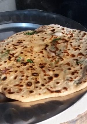 A picture of Palak paratha.