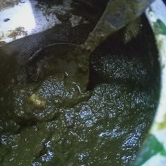 Palak paneer A picture of Palak paneer.