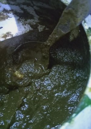 A picture of Palak paneer.