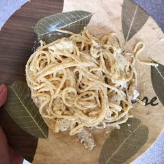 A picture of Chicken Alfredo Pasta.