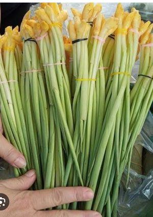 Foto resep Lodeh boros kunci