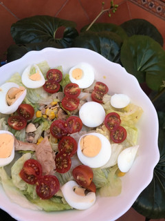 Una foto de Ensalada de pollo