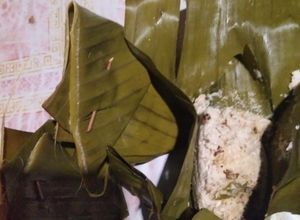 Foto resep Botok tawon