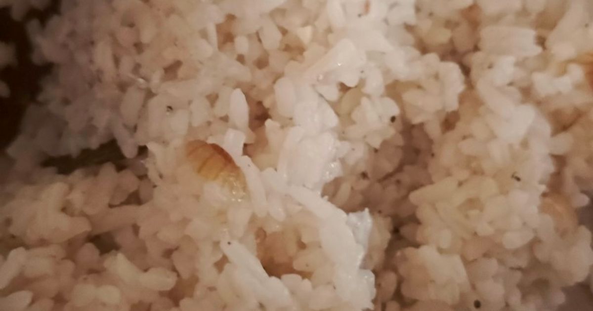 Nasi Uduk Teri Nasi