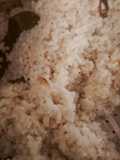 Nasi Uduk Teri Nasi