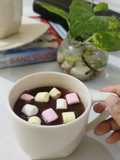 Mexican Hot Chocolate