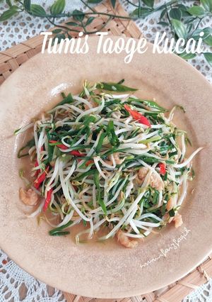 Foto resep Tumis Taoge Kucai