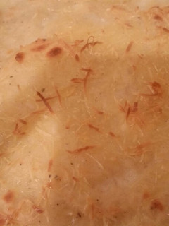 صورة لوصفة غراتان بطاطا بالدجاج