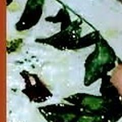 A picture of Spicy Almond Chutney.