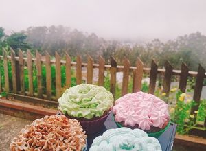 Hình của món Bông lan kem tươi (Whipped cream cupcake).