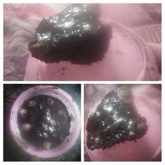 Microwave Mini-Oreo cake (made with Oreo biscuits) A picture of Microwave Mini-Oreo cake (made with Oreo biscuits).