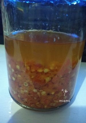 Foto resep Sambal korek