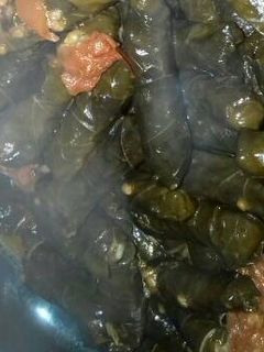 صورة لوصفة دوالي