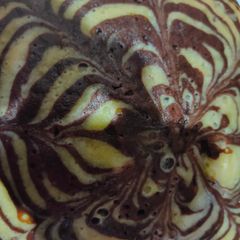 A picture of Zebra cake.